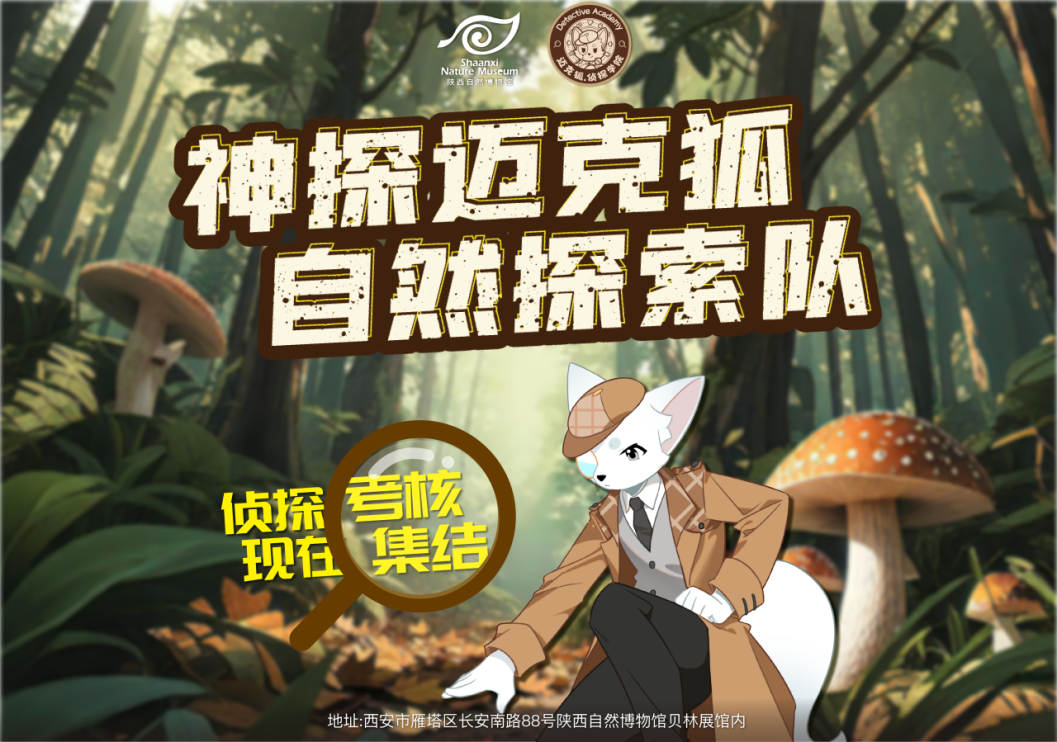 神探迈克狐之“自然探险队”