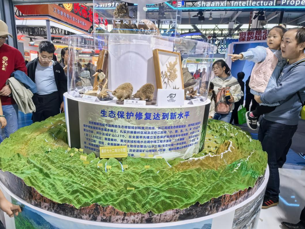 18件珍贵标本亮相农高会 博物馆架起生态保护桥梁