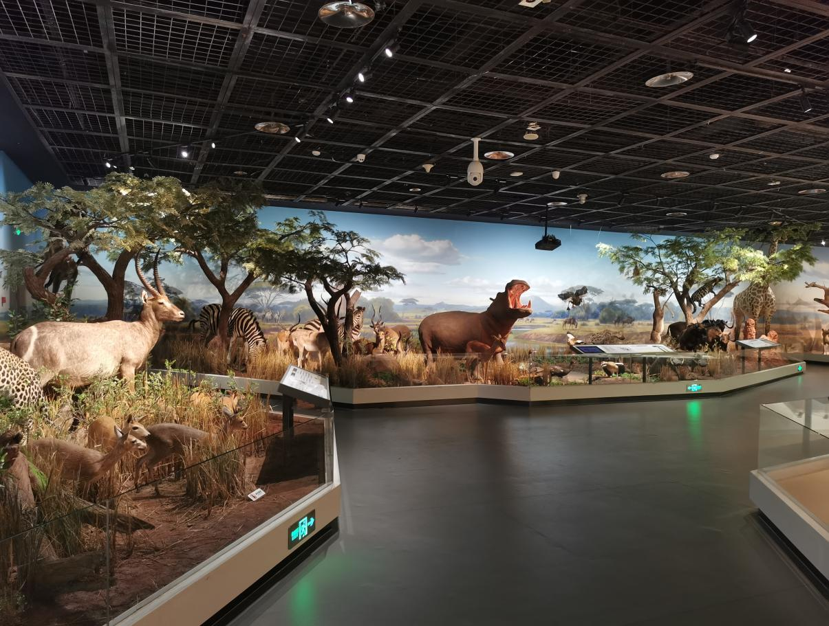 野性非洲展区