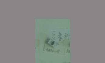 豆象