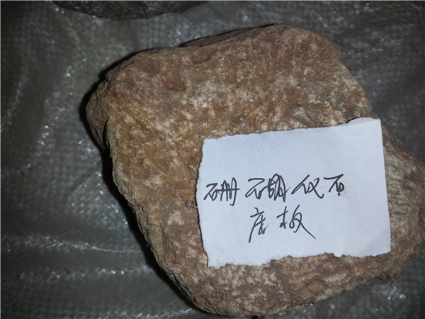 珊瑚化石